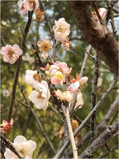 <a href=http://www.lexiangyou.org/xiangcunlvyou/ target=_blank class=infotextkey>乡村旅游</a>：[度假]游览金钟湖，然后钓鱼、越野和烧烤聚餐...