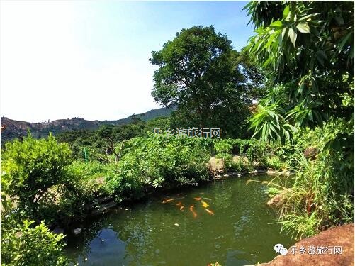 <a href=http://www.lexiangyou.org/xiangcunlvyou/ target=_blank class=infotextkey>乡村旅游</a>：[神湾] 香味浓郁，蜜而不酸，爽脆无渣