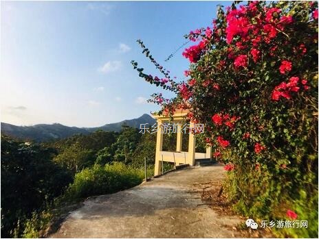 <a href=http://www.lexiangyou.org/xiangcunlvyou/ target=_blank class=infotextkey>乡村旅游</a>：[神湾] 香味浓郁，蜜而不酸，爽脆无渣