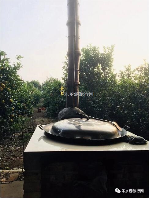 <a href=http://www.lexiangyou.org/xiangcunlvyou/ target=_blank class=infotextkey>乡村旅游</a>：[民众] 沃橙蜜甜，现摘现吃；还有野炊和泥煨鸡...