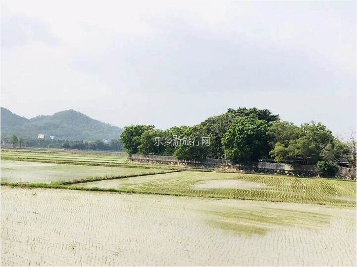 <a href=http://www.lexiangyou.org/xiangcunlvyou/ target=_blank class=infotextkey>乡村旅游</a>：[崖口] 欣赏候鸟，品尝美食，入住醉美民宿