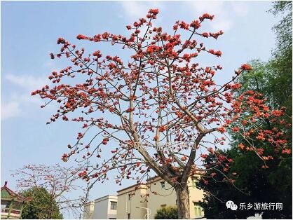 <a href=http://www.lexiangyou.org/xiangcunlvyou/ target=_blank class=infotextkey>乡村旅游</a>：[崖口] 欣赏候鸟，品尝美食，入住醉美民宿
