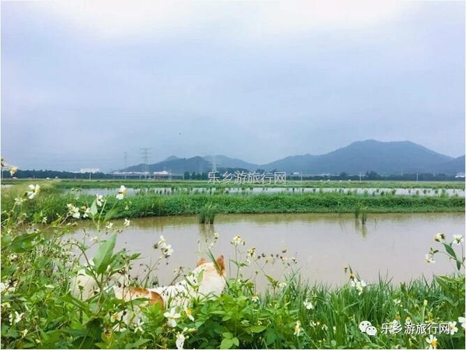 <a href=http://www.lexiangyou.org/xiangcunlvyou/ target=_blank class=infotextkey>乡村旅游</a>：[崖口] 欣赏候鸟，品尝美食，入住醉美民宿
