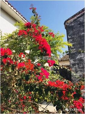 <a href=http://www.lexiangyou.org/xiangcunlvyou/ target=_blank class=infotextkey>乡村旅游</a>：[崖口] 欣赏候鸟，品尝美食，入住醉美民宿