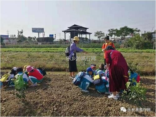 <a href=http://www.lexiangyou.org/xiangcunlvyou/ target=_blank class=infotextkey>乡村旅游</a>：【沙溪田园】骑车漫步、荷塘美景、绿岛赏花、采摘水果、野炊烧烤...