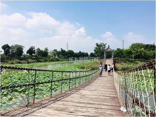 <a href=http://www.lexiangyou.org/xiangcunlvyou/ target=_blank class=infotextkey>乡村旅游</a>：【沙溪田园】骑车漫步、荷塘美景、绿岛赏花、采摘水果、野炊烧烤...