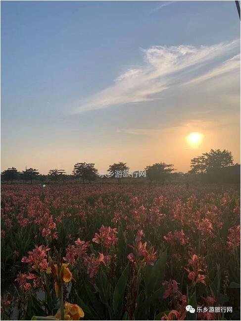 <a href=http://www.lexiangyou.org/xiangcunlvyou/ target=_blank class=infotextkey>乡村旅游</a>：【沙溪田园】骑车漫步、荷塘美景、绿岛赏花、采摘水果、野炊烧烤...