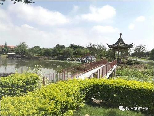 <a href=http://www.lexiangyou.org/xiangcunlvyou/ target=_blank class=infotextkey>乡村旅游</a>：【沙溪田园】骑车漫步、荷塘美景、绿岛赏花、采摘水果、野炊烧烤...