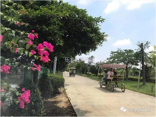 <a href=http://www.lexiangyou.org/xiangcunlvyou/ target=_blank class=infotextkey>乡村旅游</a>：【沙溪田园】骑车漫步、荷塘美景、绿岛赏花、采摘水果、野炊烧烤...