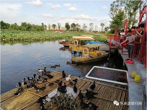 <a href=http://www.lexiangyou.org/xiangcunlvyou/ target=_blank class=infotextkey>乡村旅游</a>：【沙溪田园】骑车漫步、荷塘美景、绿岛赏花、采摘水果、野炊烧烤...