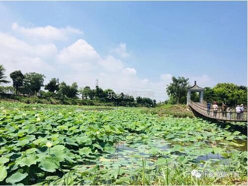 <a href=http://www.lexiangyou.org/xiangcunlvyou/ target=_blank class=infotextkey>乡村旅游</a>：【沙溪田园】骑车漫步、荷塘美景、绿岛赏花、采摘水果、野炊烧烤...