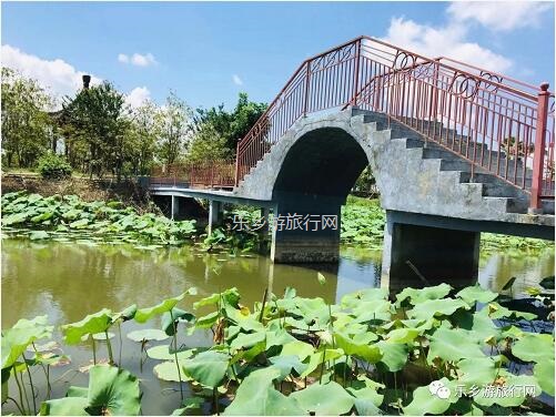 <a href=http://www.lexiangyou.org/xiangcunlvyou/ target=_blank class=infotextkey>乡村旅游</a>：【沙溪田园】骑车漫步、荷塘美景、绿岛赏花、采摘水果、野炊烧烤...