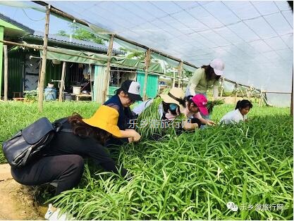 <a href=http://www.lexiangyou.org/xiangcunlvyou/ target=_blank class=infotextkey>乡村旅游</a>：【沙溪田园】骑车漫步、荷塘美景、绿岛赏花、采摘水果、野炊烧烤...