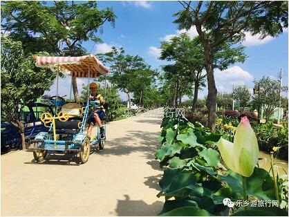 <a href=http://www.lexiangyou.org/xiangcunlvyou/ target=_blank class=infotextkey>乡村旅游</a>：【沙溪田园】骑车漫步、荷塘美景、绿岛赏花、采摘水果、野炊烧烤...