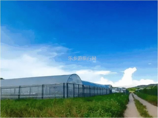<a href=http://www.lexiangyou.org/xiangcunlvyou/ target=_blank class=infotextkey>乡村旅游</a>：南朗尼个农场装修雅致，高品质食材欢迎品尝：有机蔬菜+铁皮石斛+酵素鸡+陈皮鸭汤