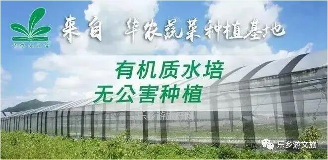 <a href=http://www.lexiangyou.org/xiangcunlvyou/ target=_blank class=infotextkey>乡村旅游</a>：南朗尼个农场装修雅致，高品质食材欢迎品尝：有机蔬菜+铁皮石斛+酵素鸡+陈皮鸭汤