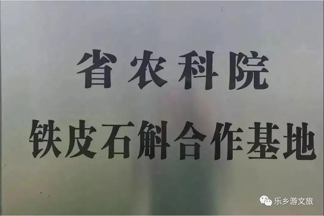 <a href=http://www.lexiangyou.org/xiangcunlvyou/ target=_blank class=infotextkey>乡村旅游</a>：南朗尼个农场装修雅致，高品质食材欢迎品尝：有机蔬菜+铁皮石斛+酵素鸡+陈皮鸭汤