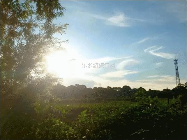 <a href=http://www.lexiangyou.org/xiangcunlvyou/ target=_blank class=infotextkey>乡村旅游</a>：南朗尼个农场装修雅致，高品质食材欢迎品尝：有机蔬菜+铁皮石斛+酵素鸡+陈皮鸭汤