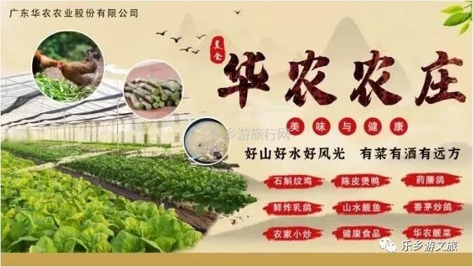 <a href=http://www.lexiangyou.org/xiangcunlvyou/ target=_blank class=infotextkey>乡村旅游</a>：南朗尼个农场装修雅致，高品质食材欢迎品尝：有机蔬菜+铁皮石斛+酵素鸡+陈皮鸭汤