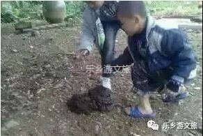 <a href=http://www.lexiangyou.org/xiangcunlvyou/ target=_blank class=infotextkey>乡村旅游</a>：航模+蝴蝶+动物+童年回忆+农业科普，10月1日坦洲盛大迎宾！免费门票福利等你哦~