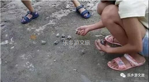 <a href=http://www.lexiangyou.org/xiangcunlvyou/ target=_blank class=infotextkey>乡村旅游</a>：航模+蝴蝶+动物+童年回忆+农业科普，10月1日坦洲盛大迎宾！免费门票福利等你哦~