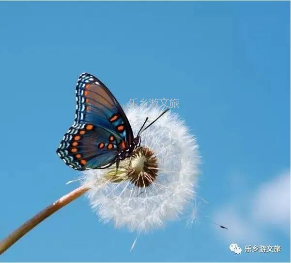 <a href=http://www.lexiangyou.org/xiangcunlvyou/ target=_blank class=infotextkey>乡村旅游</a>：航模+蝴蝶+动物+童年回忆+农业科普，10月1日坦洲盛大迎宾！免费门票福利等你哦~