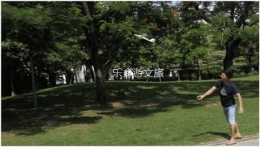 <a href=http://www.lexiangyou.org/xiangcunlvyou/ target=_blank class=infotextkey>乡村旅游</a>：航模+蝴蝶+动物+童年回忆+农业科普，10月1日坦洲盛大迎宾！免费门票福利等你哦~