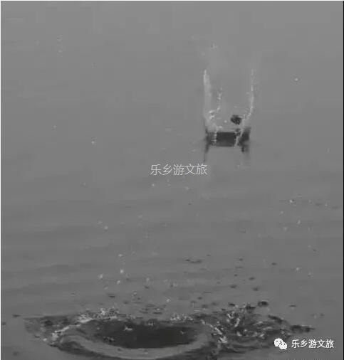 <a href=http://www.lexiangyou.org/xiangcunlvyou/ target=_blank class=infotextkey>乡村旅游</a>：航模+蝴蝶+动物+童年回忆+农业科普，10月1日坦洲盛大迎宾！免费门票福利等你哦~