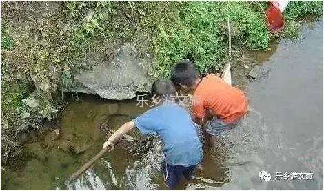<a href=http://www.lexiangyou.org/xiangcunlvyou/ target=_blank class=infotextkey>乡村旅游</a>：航模+蝴蝶+动物+童年回忆+农业科普，10月1日坦洲盛大迎宾！免费门票福利等你哦~