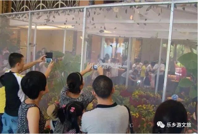 <a href=http://www.lexiangyou.org/xiangcunlvyou/ target=_blank class=infotextkey>乡村旅游</a>：航模+蝴蝶+动物+童年回忆+农业科普，10月1日坦洲盛大迎宾！免费门票福利等你哦~