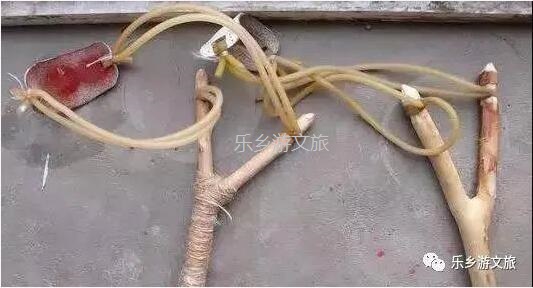 <a href=http://www.lexiangyou.org/xiangcunlvyou/ target=_blank class=infotextkey>乡村旅游</a>：航模+蝴蝶+动物+童年回忆+农业科普，10月1日坦洲盛大迎宾！免费门票福利等你哦~