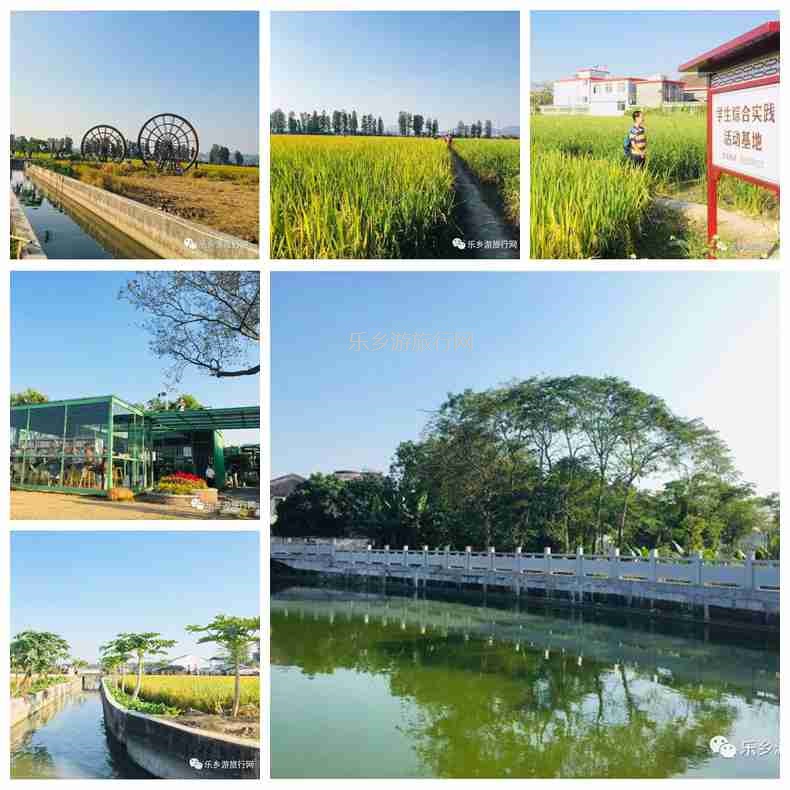 <a href=http://www.lexiangyou.org/xiangcunlvyou/ target=_blank class=infotextkey>乡村旅游</a>：人文荟萃，农趣盎然；超多原生态食材等你：香水柠檬+甲鱼+走地鸡+游水麻鸭+河鲜...