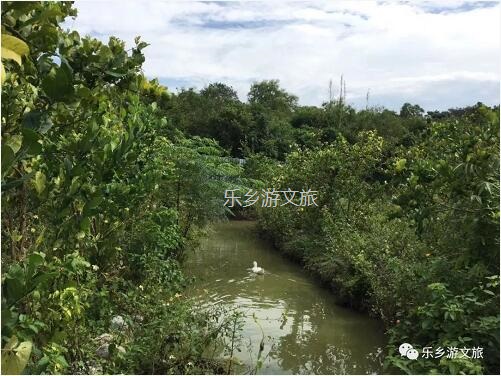 <a href=http://www.lexiangyou.org/xiangcunlvyou/ target=_blank class=infotextkey>乡村旅游</a>：人文荟萃，农趣盎然；超多原生态食材等你：香水柠檬+甲鱼+走地鸡+游水麻鸭+河鲜...