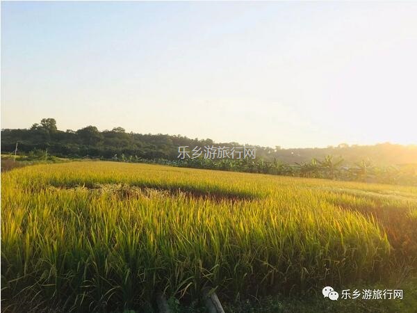 <a href=http://www.lexiangyou.org/xiangcunlvyou/ target=_blank class=infotextkey>乡村旅游</a>：人文荟萃，农趣盎然；超多原生态食材等你：香水柠檬+甲鱼+走地鸡+游水麻鸭+河鲜...