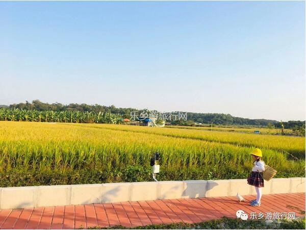 <a href=http://www.lexiangyou.org/xiangcunlvyou/ target=_blank class=infotextkey>乡村旅游</a>：人文荟萃，农趣盎然；超多原生态食材等你：香水柠檬+甲鱼+走地鸡+游水麻鸭+河鲜...