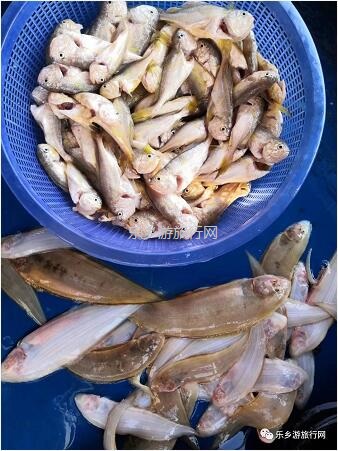<a href=http://www.lexiangyou.org/xiangcunlvyou/ target=_blank class=infotextkey>乡村旅游</a>：【海游】领略大海的迤逦风光，即时品尝美味海鲜