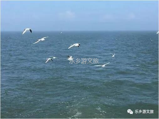 <a href=http://www.lexiangyou.org/xiangcunlvyou/ target=_blank class=infotextkey>乡村旅游</a>：【海游】领略大海的迤逦风光，即时品尝美味海鲜
