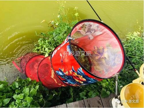 <a href=http://www.lexiangyou.org/xiangcunlvyou/ target=_blank class=infotextkey>乡村旅游</a>：丰收季节，稻谷笑弯了腰！小农夫在农耕中体验人生的快乐