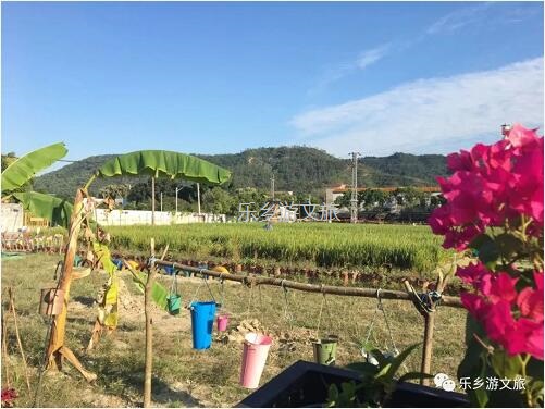 <a href=http://www.lexiangyou.org/xiangcunlvyou/ target=_blank class=infotextkey>乡村旅游</a>：丰收季节，稻谷笑弯了腰！小农夫在农耕中体验人生的快乐