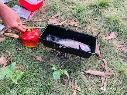 <a href=http://www.lexiangyou.org/xiangcunlvyou/ target=_blank class=infotextkey>乡村旅游</a>：丰收季节，稻谷笑弯了腰！小农夫在农耕中体验人生的快乐