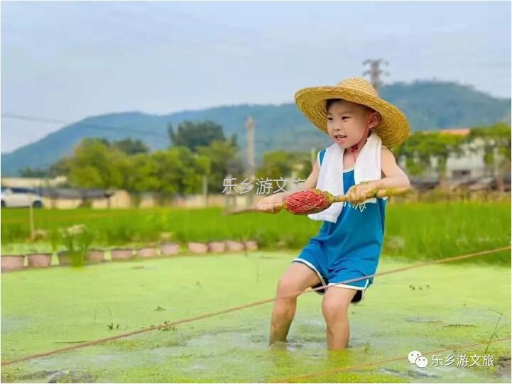 <a href=http://www.lexiangyou.org/xiangcunlvyou/ target=_blank class=infotextkey>乡村旅游</a>：丰收季节，稻谷笑弯了腰！小农夫在农耕中体验人生的快乐