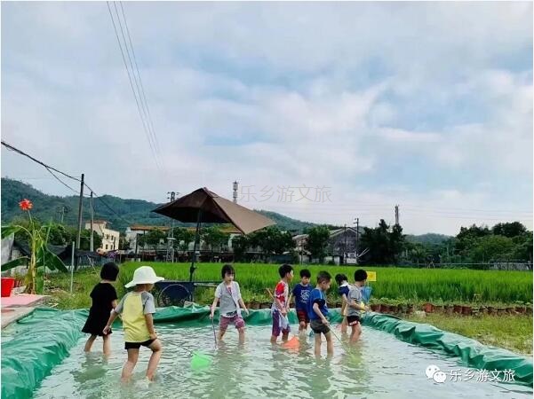 <a href=http://www.lexiangyou.org/xiangcunlvyou/ target=_blank class=infotextkey>乡村旅游</a>：丰收季节，稻谷笑弯了腰！小农夫在农耕中体验人生的快乐