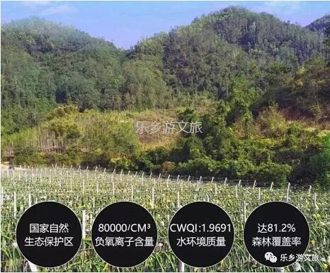 <a href=http://www.lexiangyou.org/xiangcunlvyou/ target=_blank class=infotextkey>乡村旅游</a>：【树上熟】山泉水灌溉，鲜嫩爽滑，香甜多汁