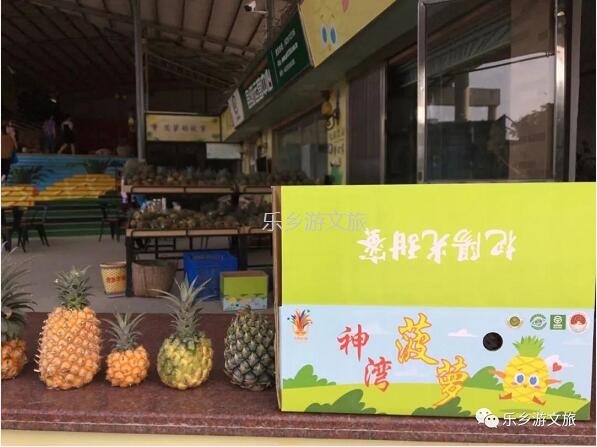 <a href=http://www.lexiangyou.org/xiangcunlvyou/ target=_blank class=infotextkey>乡村旅游</a>：【名优】爽脆+即食+蜜甜，又到成熟季