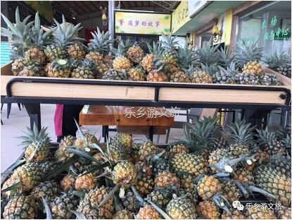 <a href=http://www.lexiangyou.org/xiangcunlvyou/ target=_blank class=infotextkey>乡村旅游</a>：【名优】爽脆+即食+蜜甜，又到成熟季