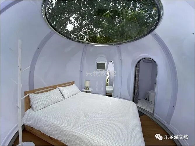 乡村旅游：【度假】树影与星空交织，在大自然中享受假期的浪漫