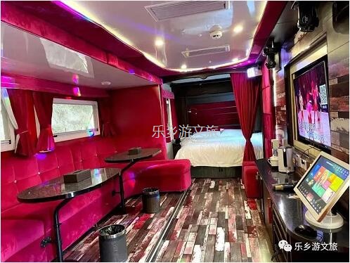 乡村旅游：【度假】树影与星空交织，在大自然中享受假期的浪漫