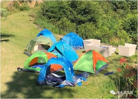 乡村旅游：【度假】树影与星空交织，在大自然中享受假期的浪漫