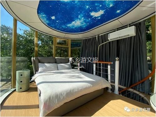 乡村旅游：【度假】树影与星空交织，在大自然中享受假期的浪漫