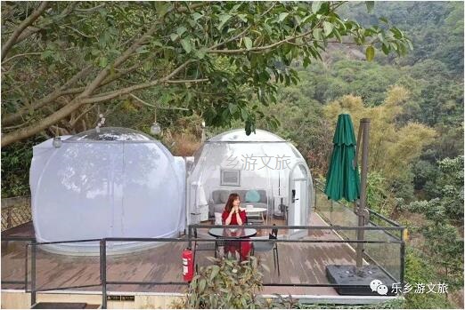 乡村旅游：【度假】树影与星空交织，在大自然中享受假期的浪漫